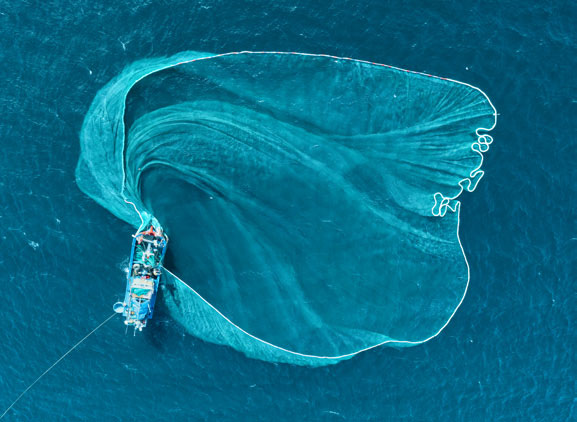 Drift Gillnet